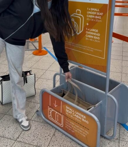 Click to view full screen EvaPack Luxe Lunch Tote photo review