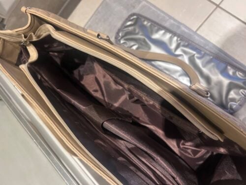 Click to view full screen EvaPack Luxe Lunch Tote photo review